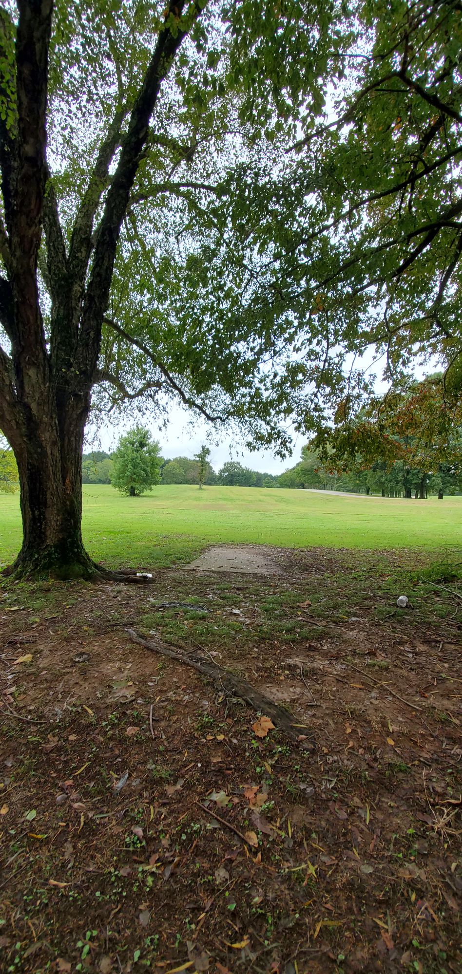 Hole 12