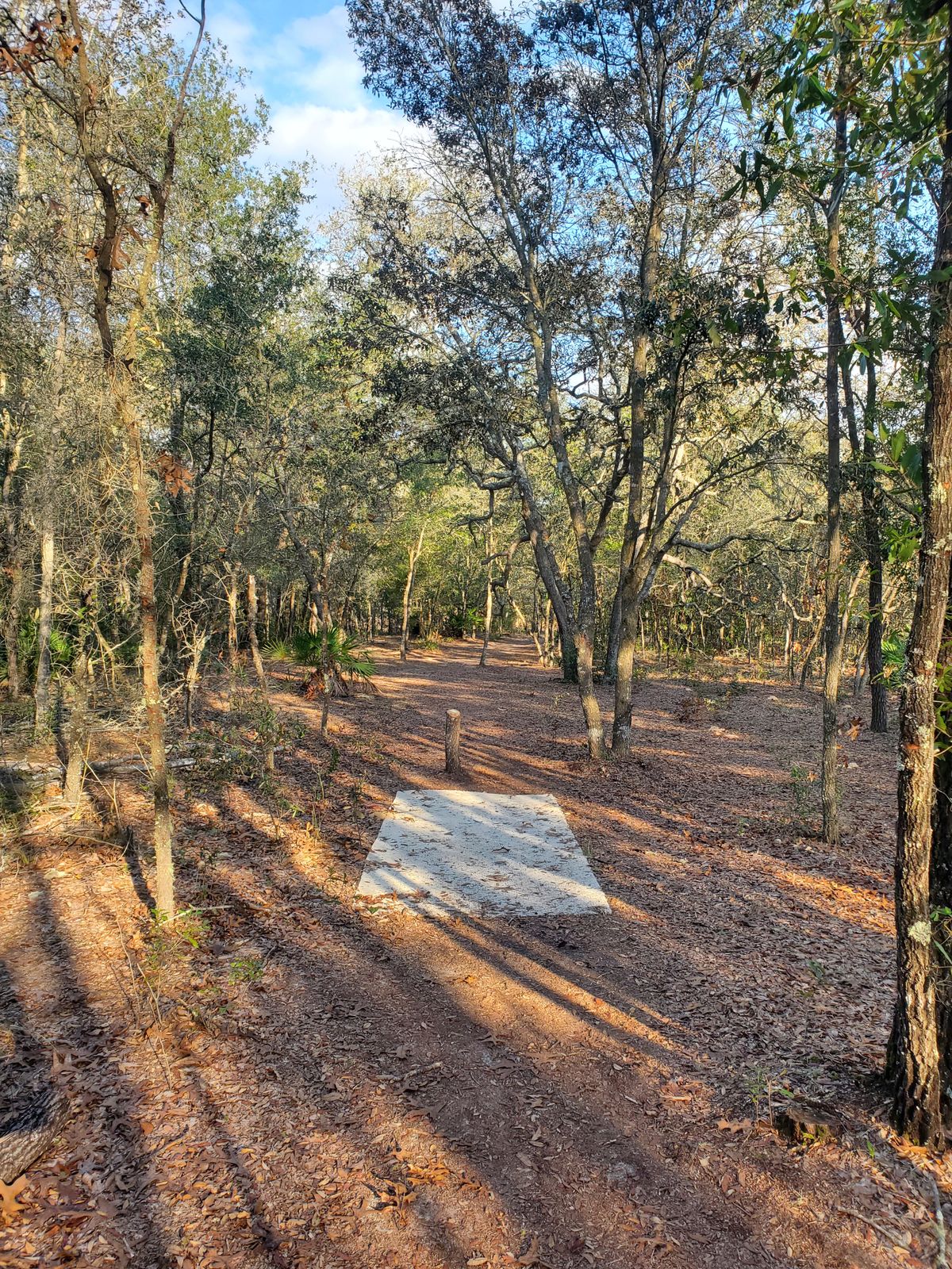 Hole 9