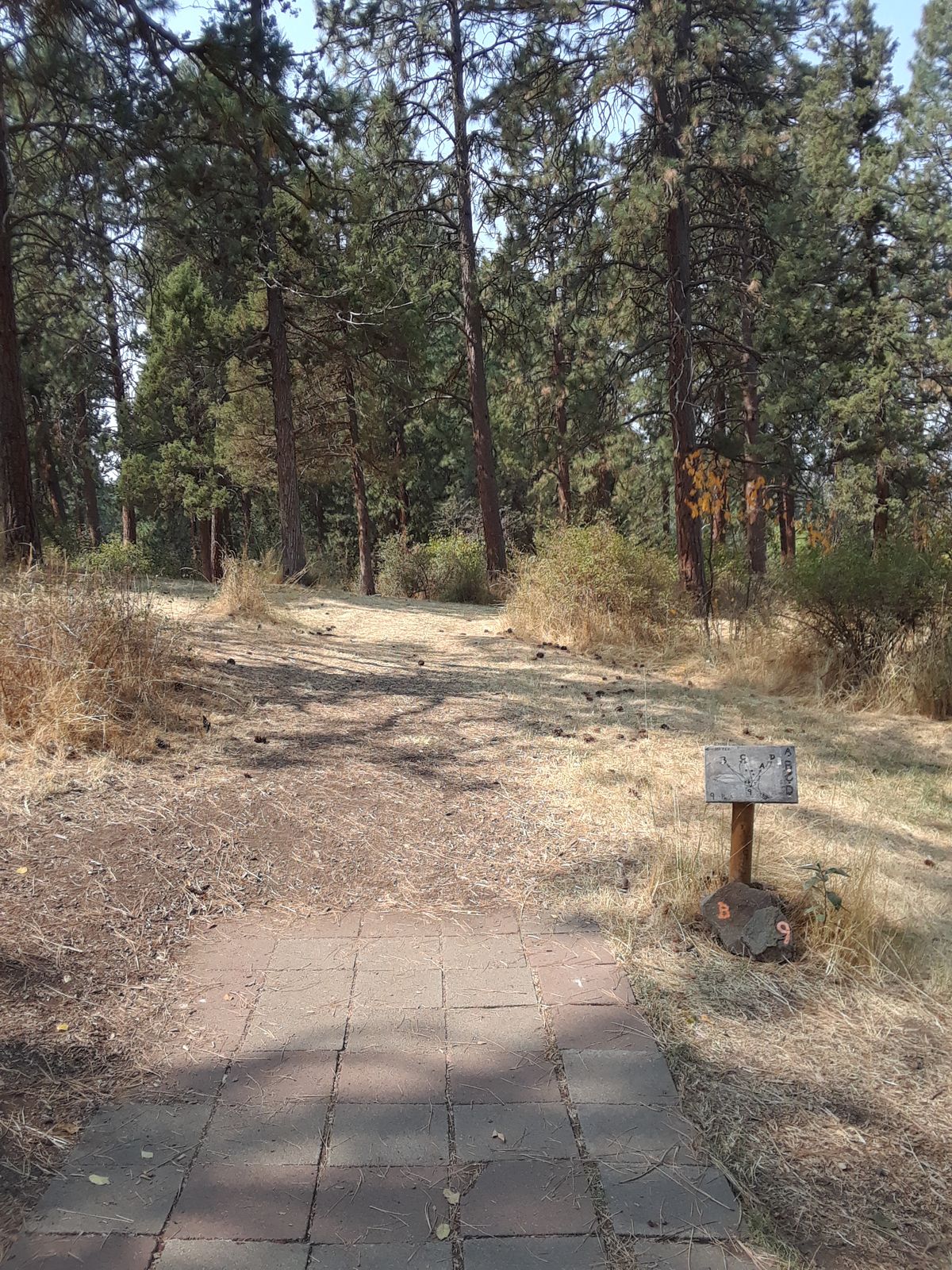 Hole 9