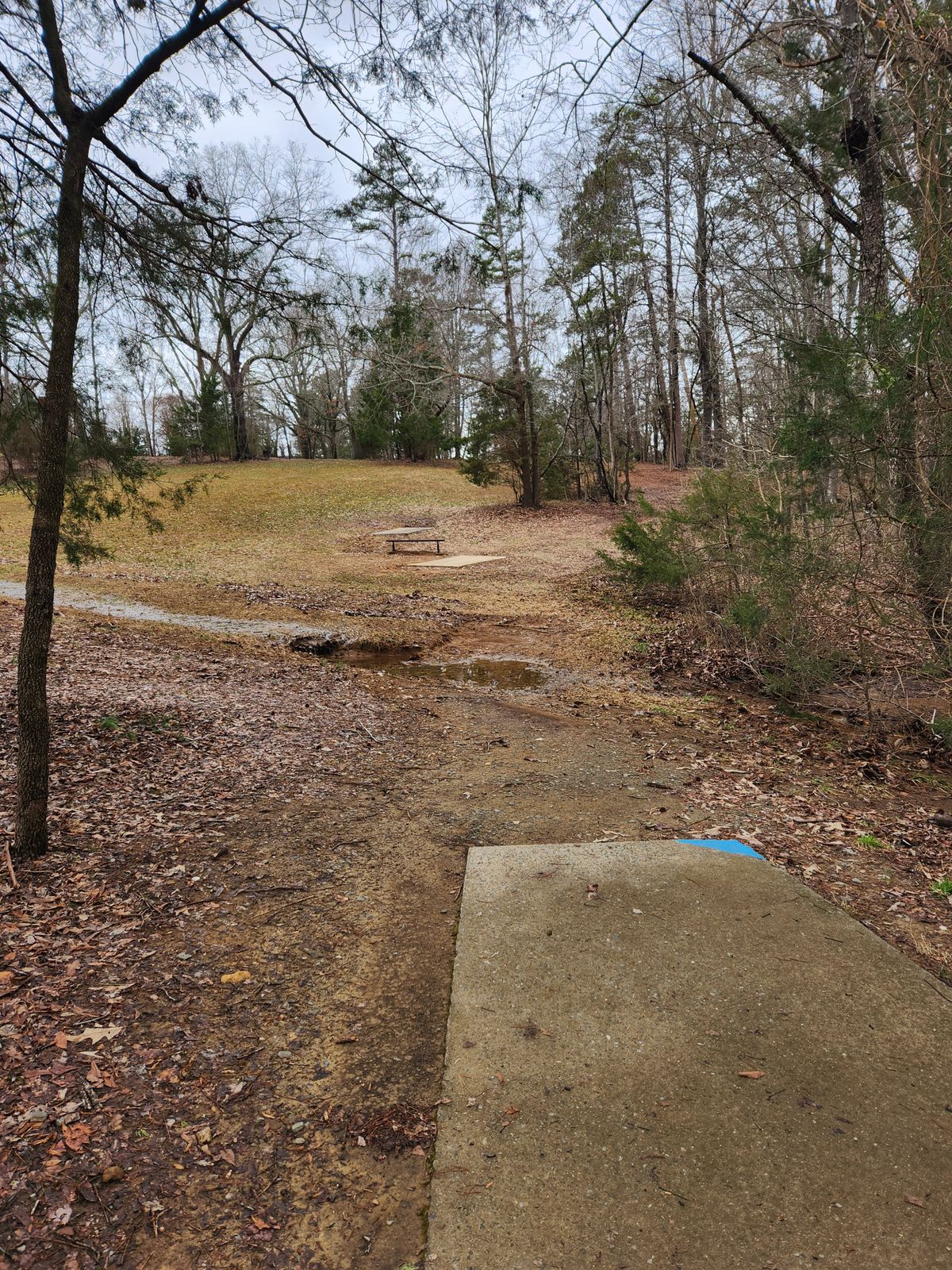 Cedarock Park