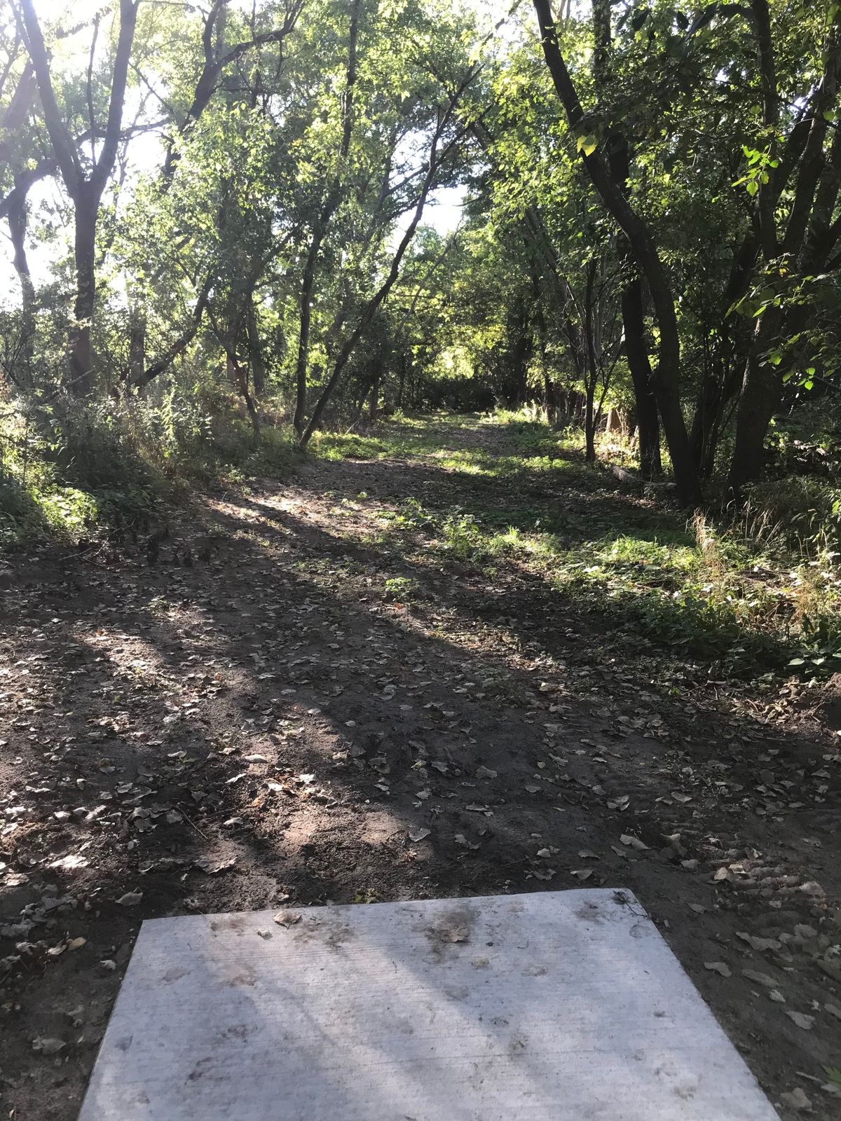 Hole 5