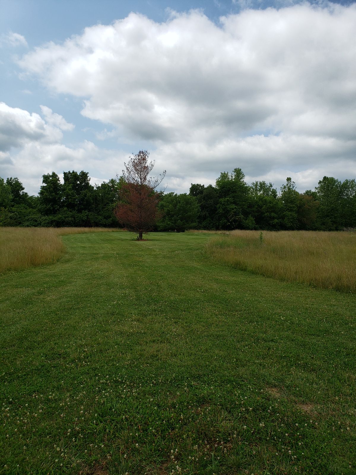 #14 Fairway.