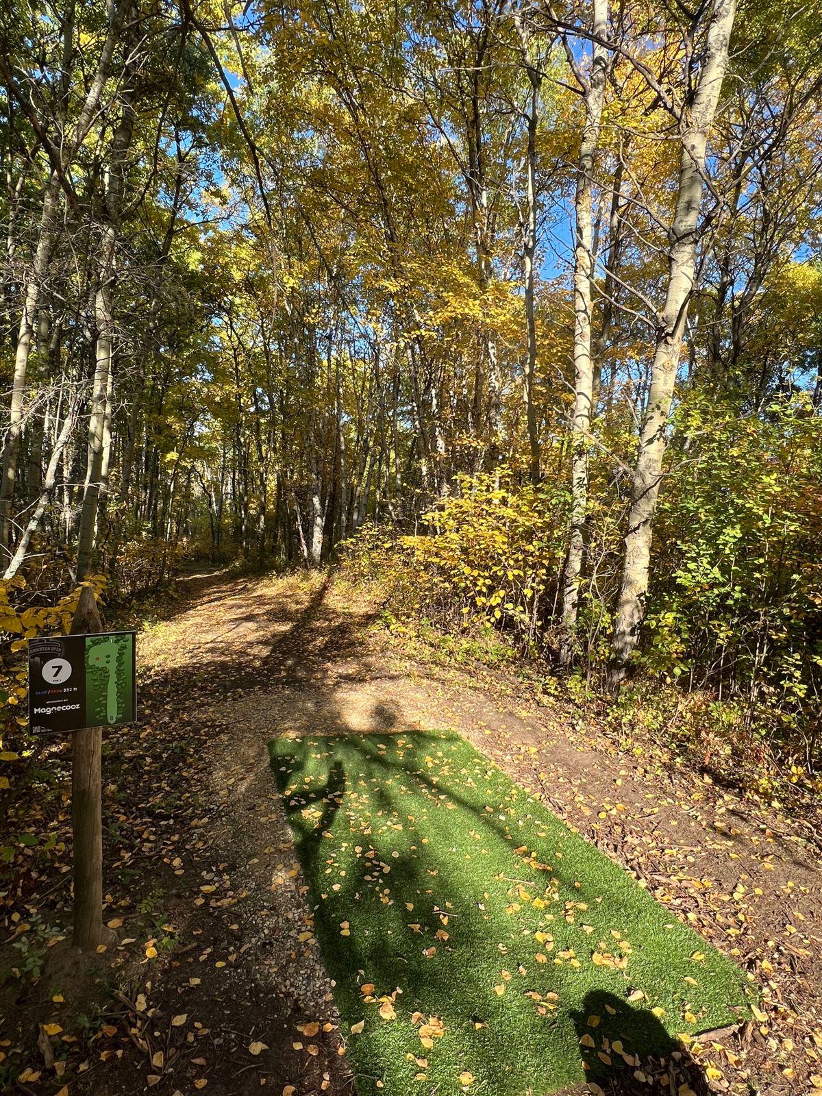 Hole 6 Tee Pad