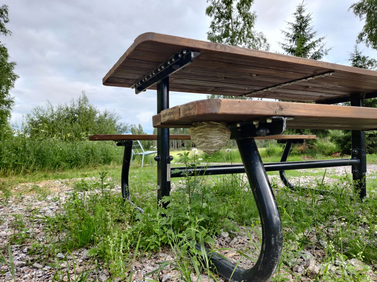 Vaara vaanii 14 väylän tiin läheisyydessä