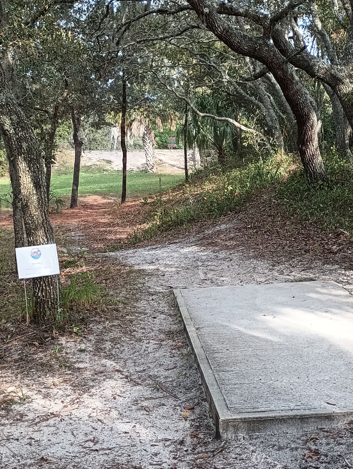 Hole 7