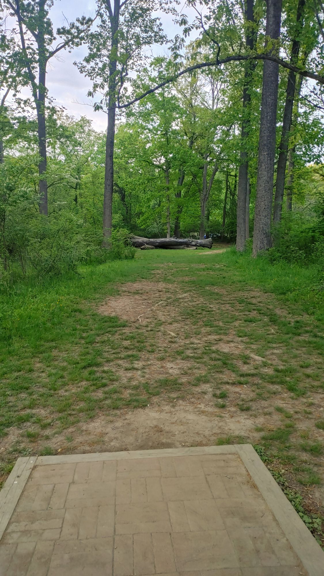 Hole #1