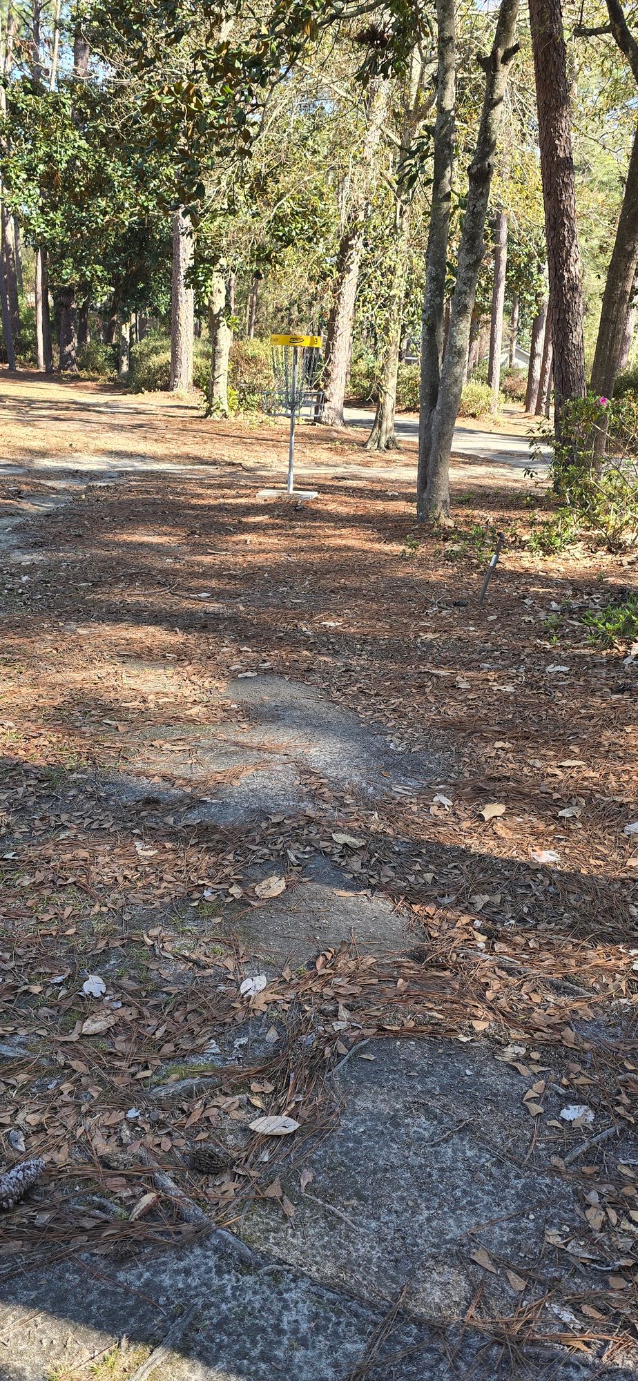 Hole 3 basket