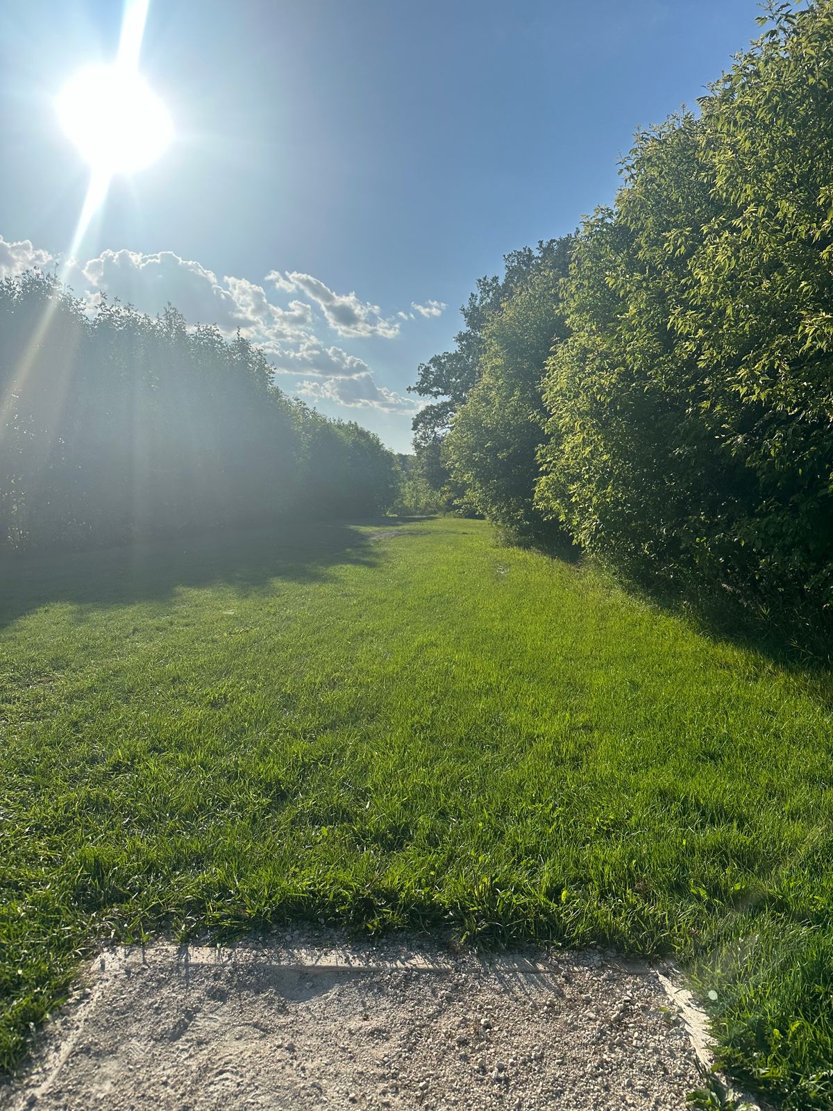 Hole 7
