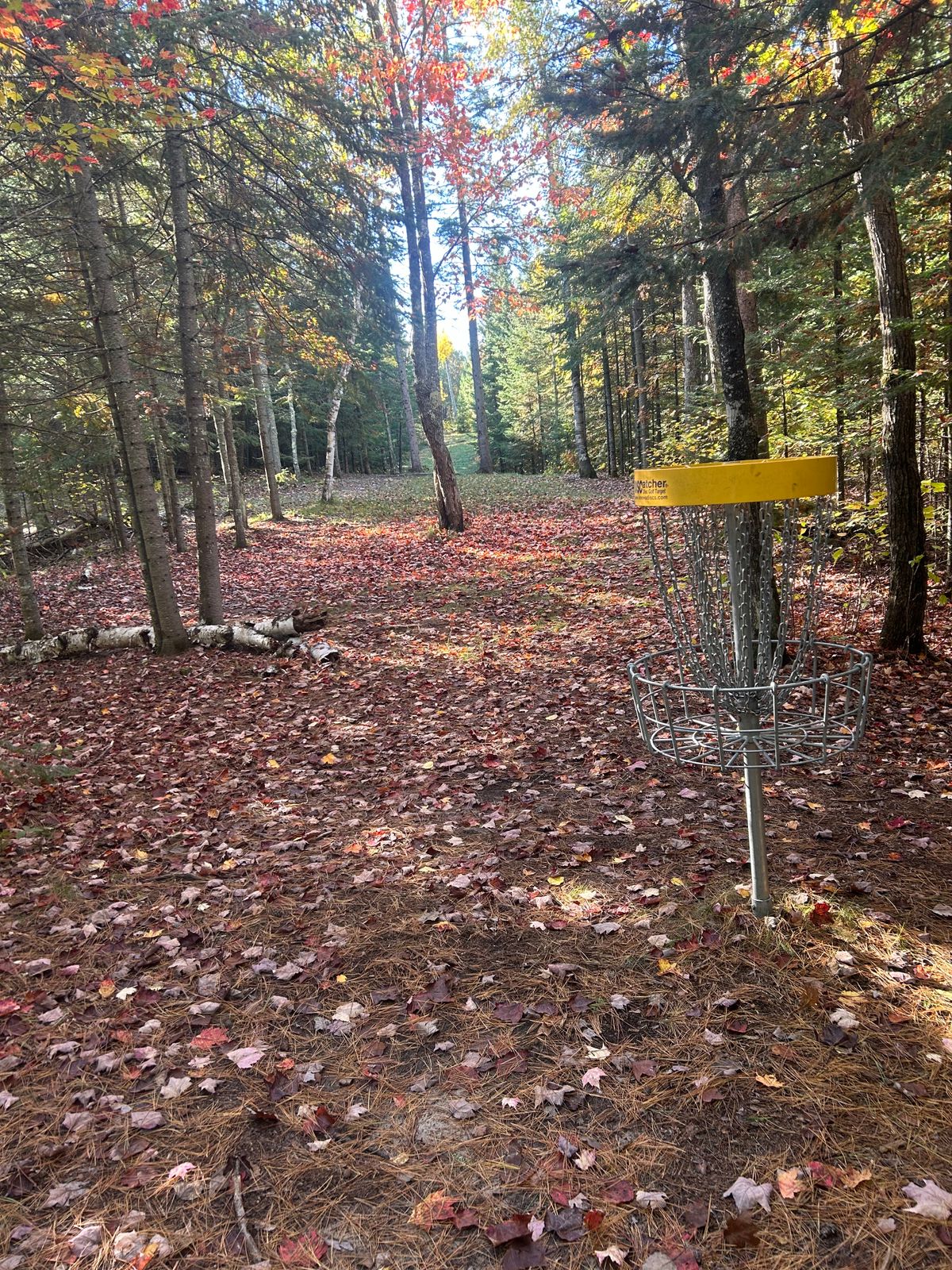 Hole 11 fairway