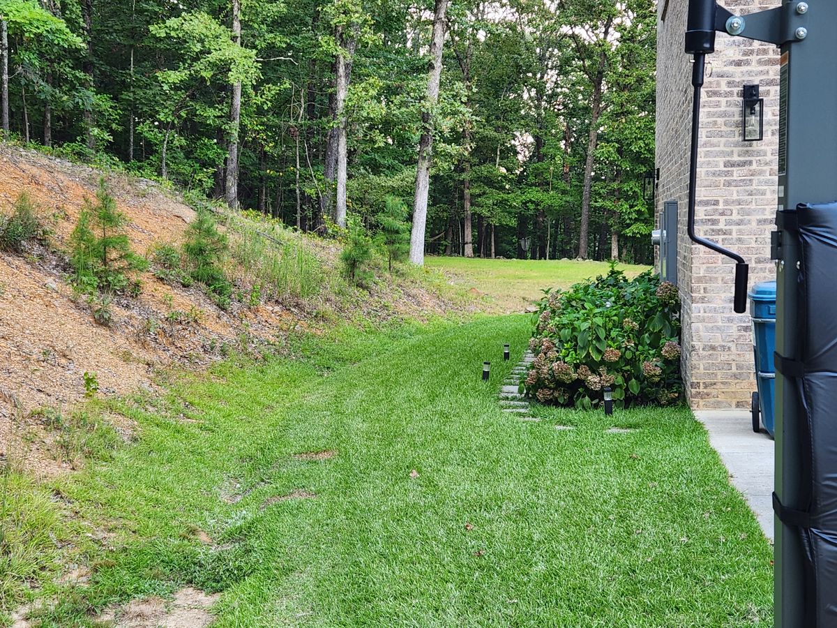 Hole 2 is at tree line, directly behind the house.  Mando to the left of basketball goal.  Advanced players may throw over the house, just don't hit it.  Please utilize stairs to the right after tee shot.