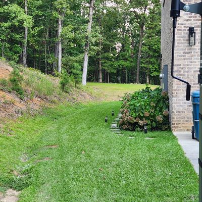 Hole 2 is at tree line, directly behind the house.  Mando to the left of basketball goal.  Advanced players may throw over the house, just don't hit it.  Please utilize stairs to the right after tee shot.