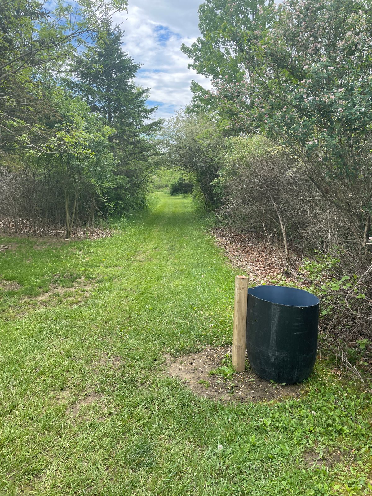 Hole 1 pad