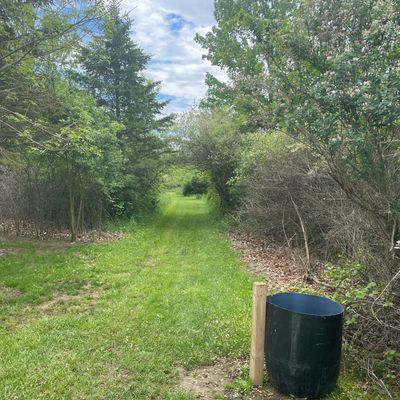 Hole 1 pad