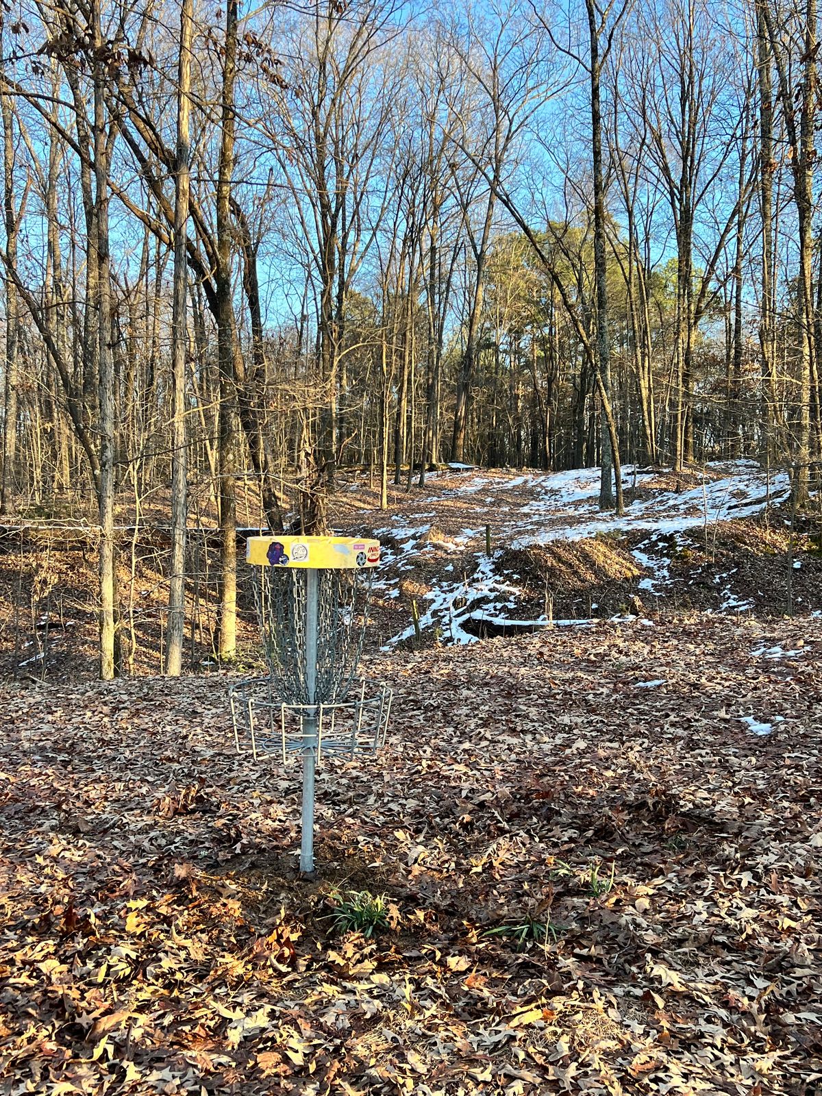 Hole 14 basket looking back towards tee after clearing from storm damage.