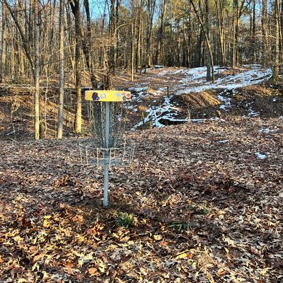 Hole 14 basket looking back towards tee after clearing from storm damage.