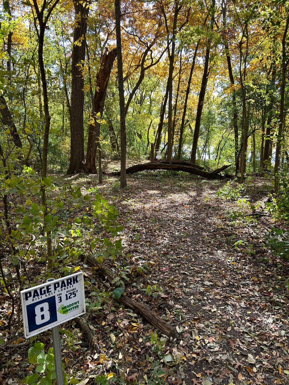 Hole 8 fairway