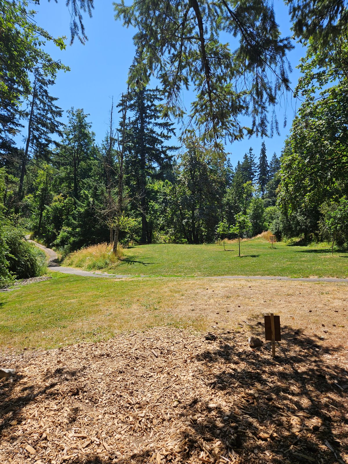 Hole #5 from teepad