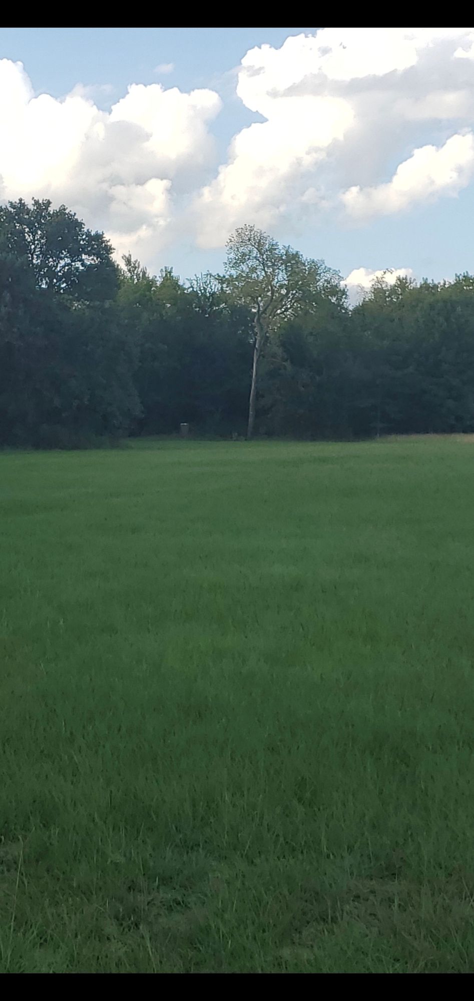 Hole 16