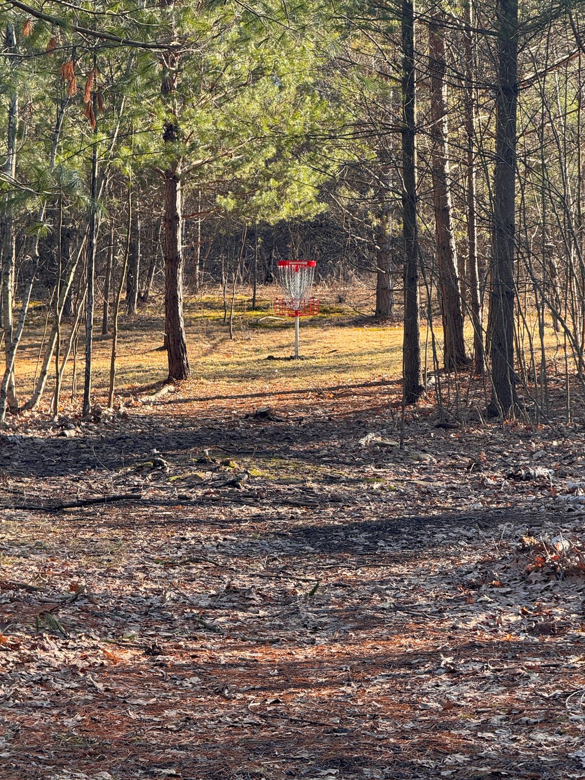 Wilderness City DGC (9-hole)