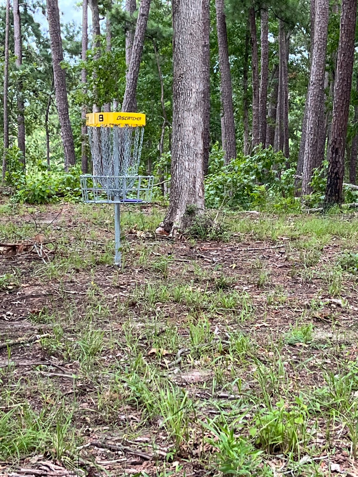 Lots of down debris made this hole difficult to traverse. Hole has potential.
