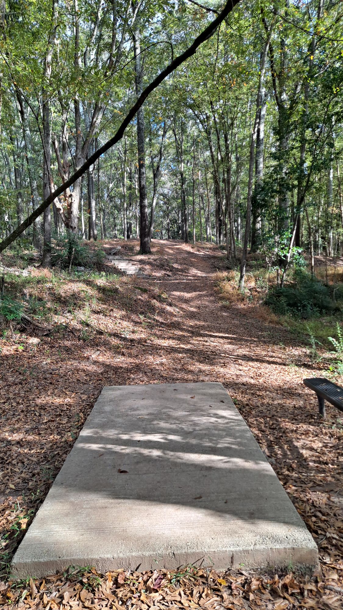 #17 tee 175 feet par 3 uphill