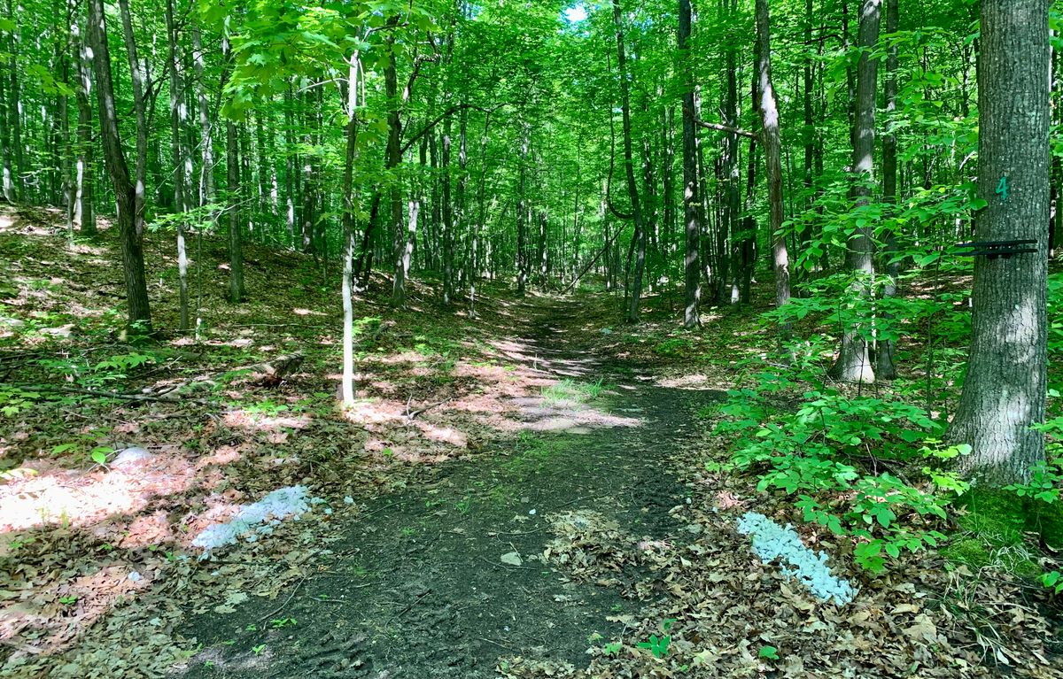 Hole 4