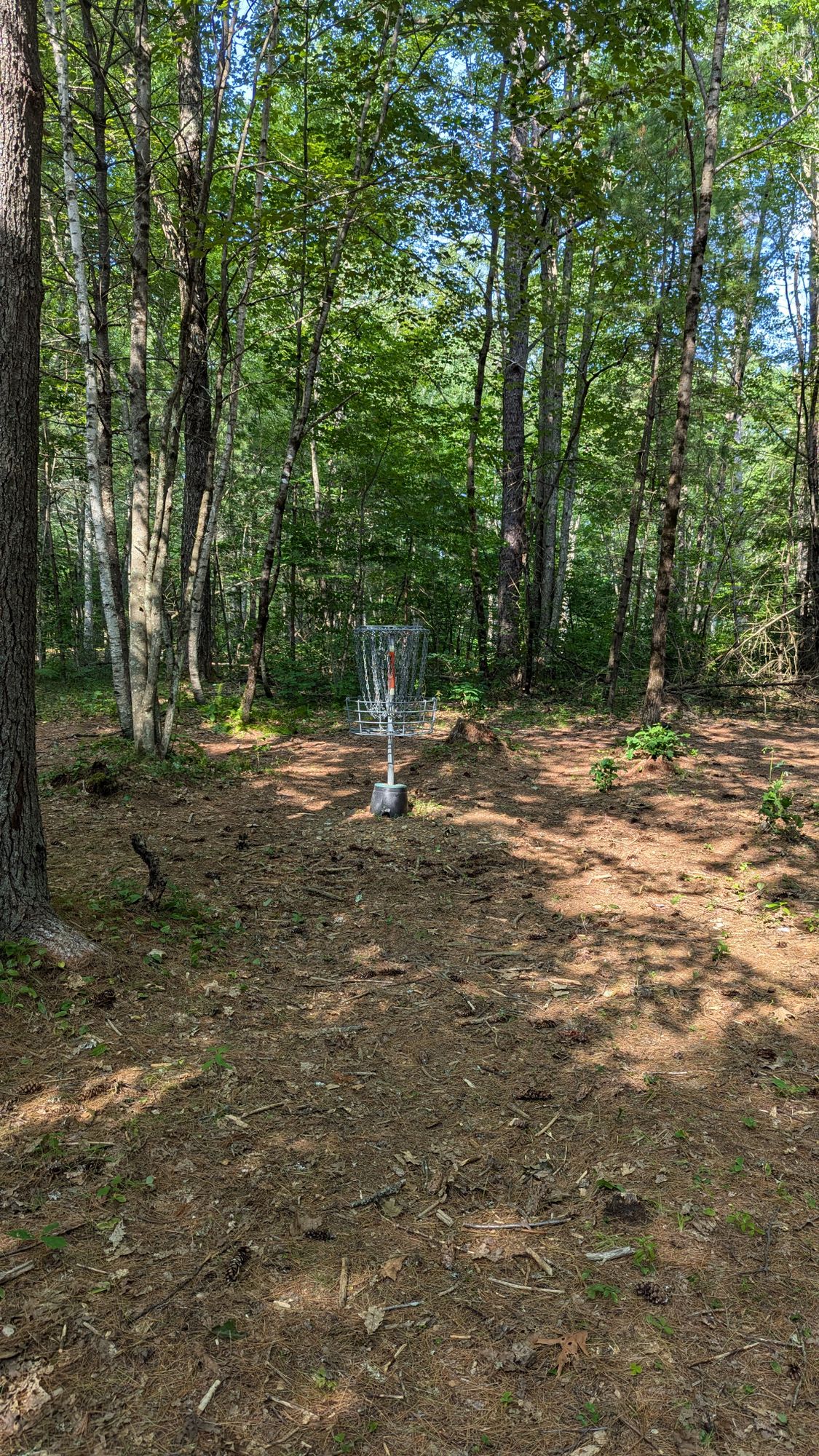 Hole 2 | Pin 2, about 20' out