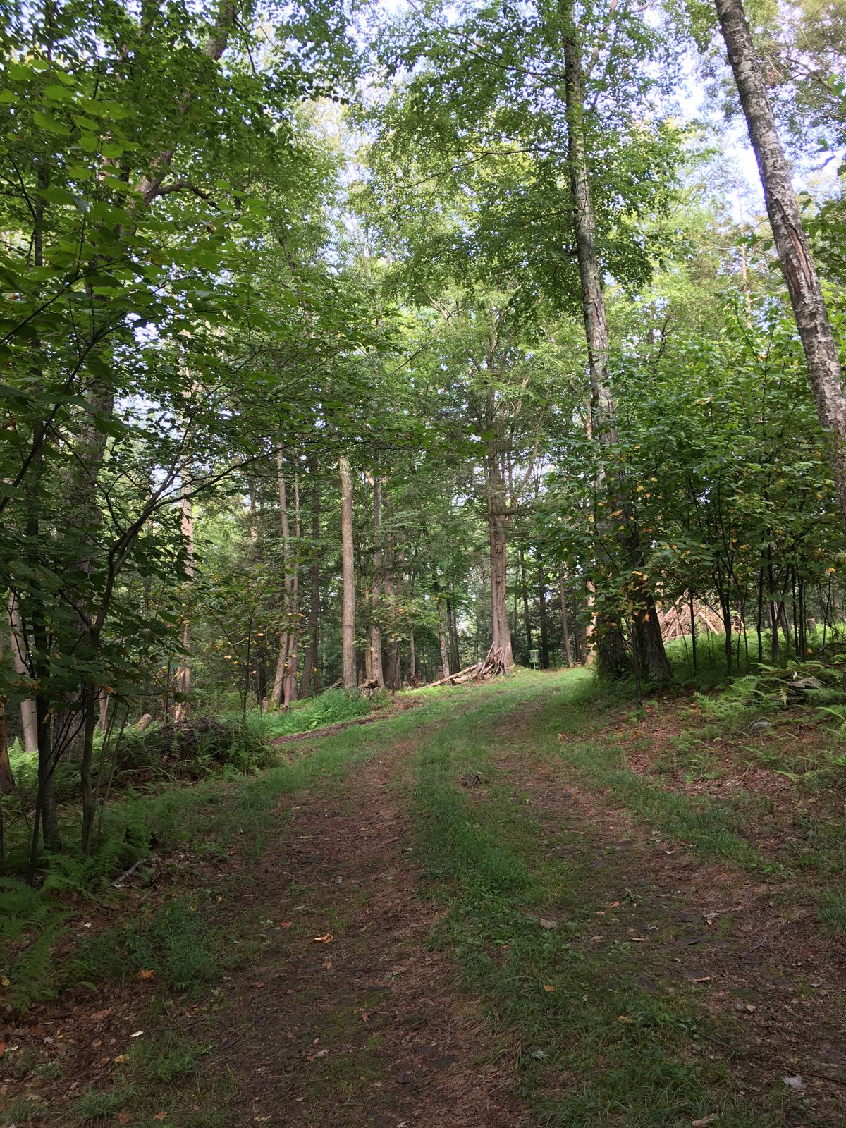 From the tee looking at hole 8, the Helping Hands basket