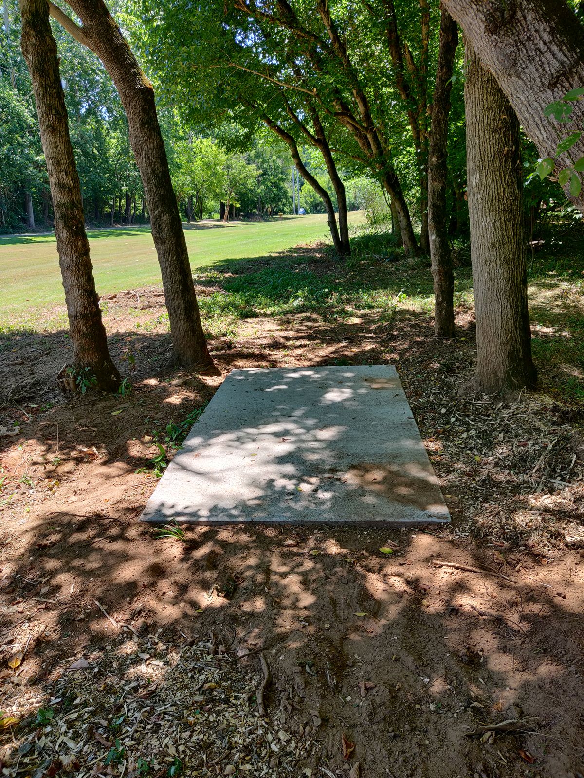 Hole 13. Looking at the basket from the tee pad.