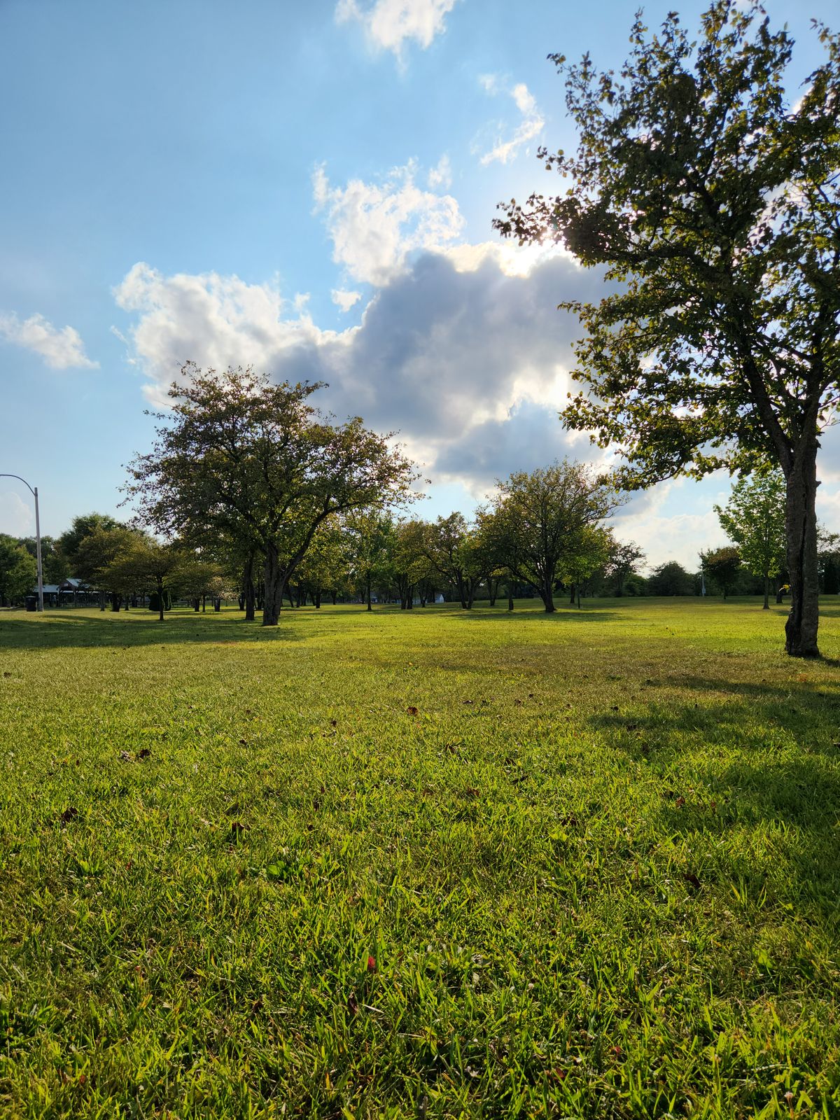 View of hole 17 from the brown tee