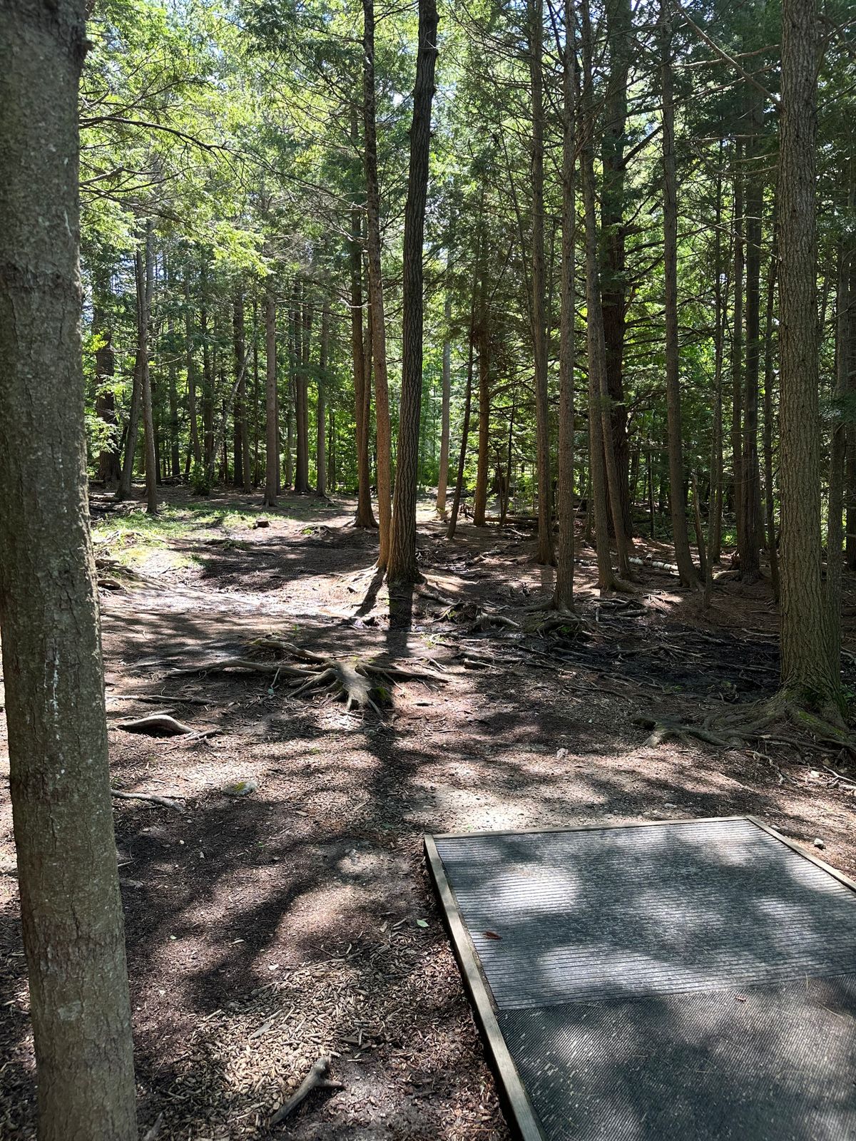 Hole 17