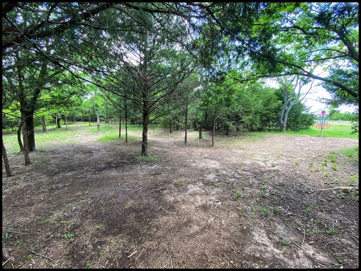 #5 Fairway