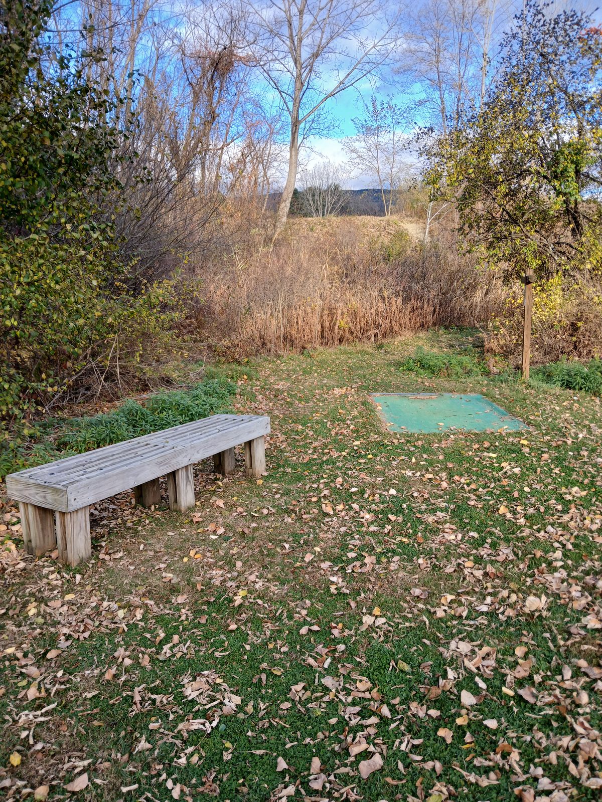 Blue Tee  - Hit gap to upper fairway 