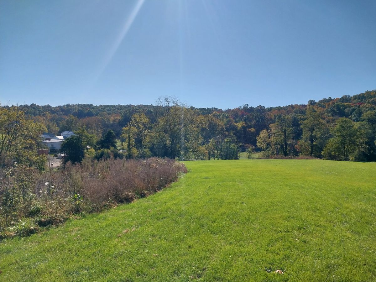6 fairway