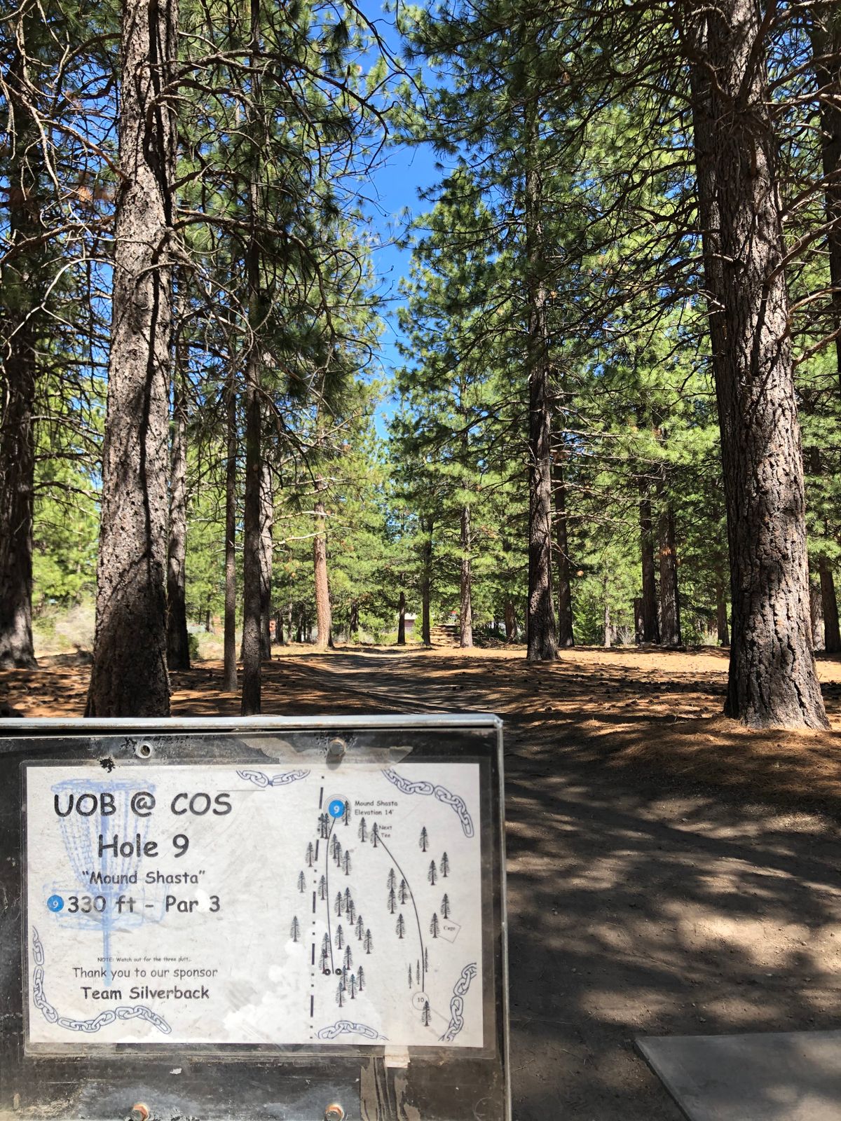 Great layout with creative and fun lines through the trees!