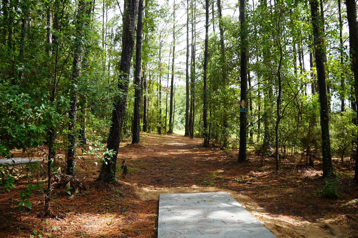 Hole 17 long tee