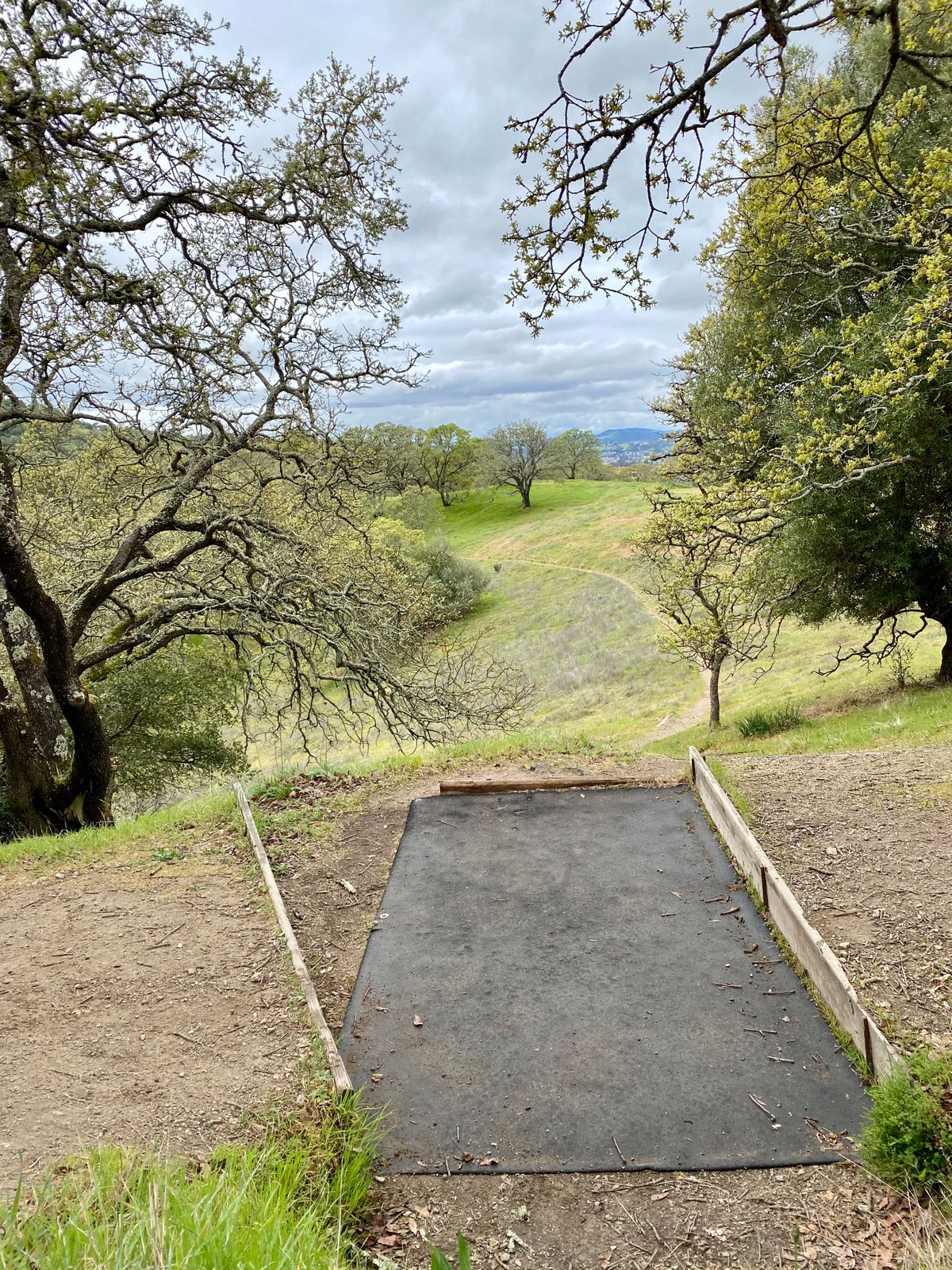 Hole 8