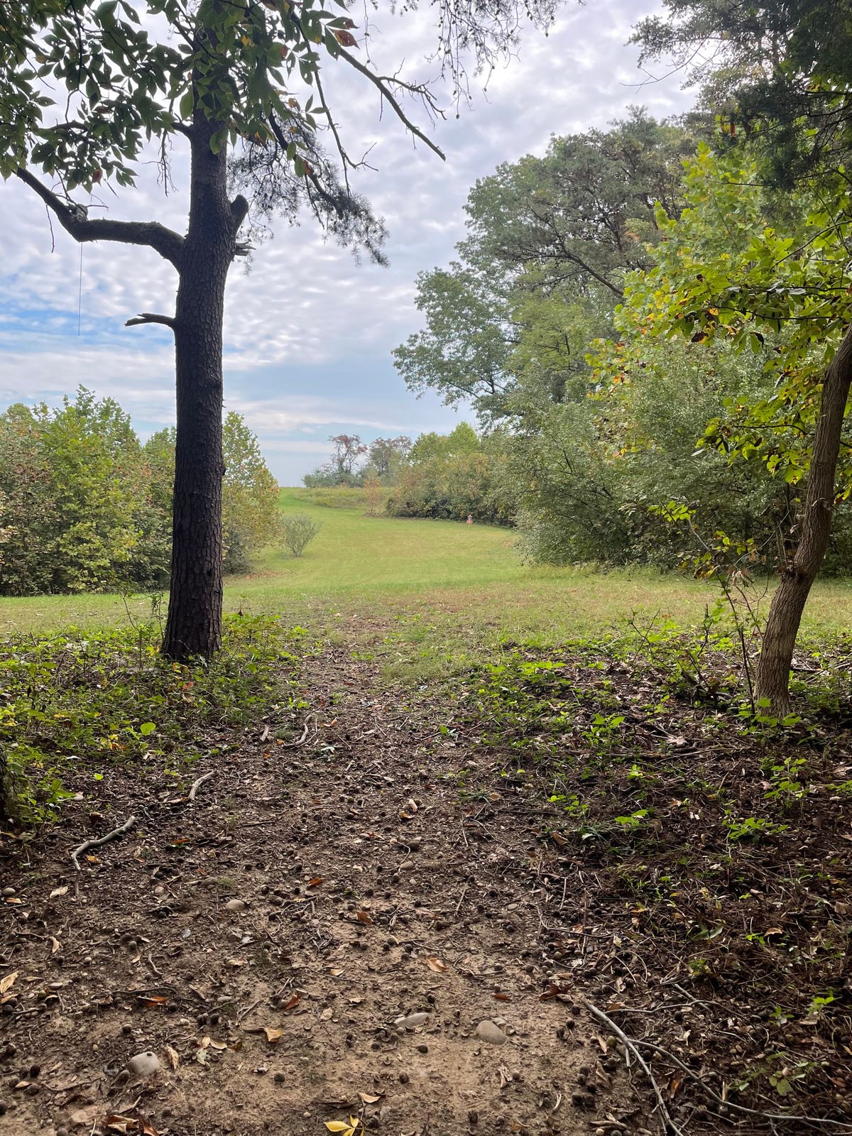 View from #17 tee pad