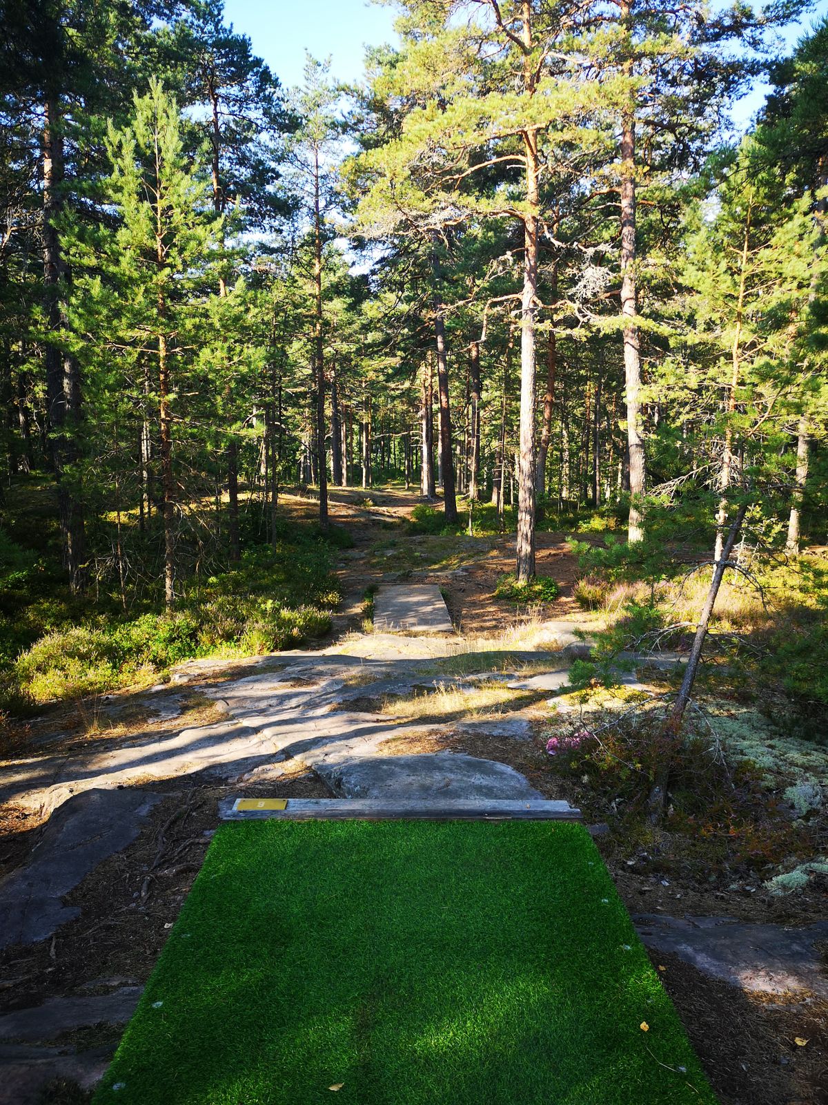 Tee 6