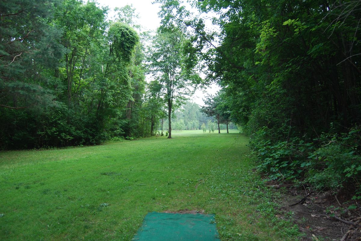 Hole 4 long tee pad position