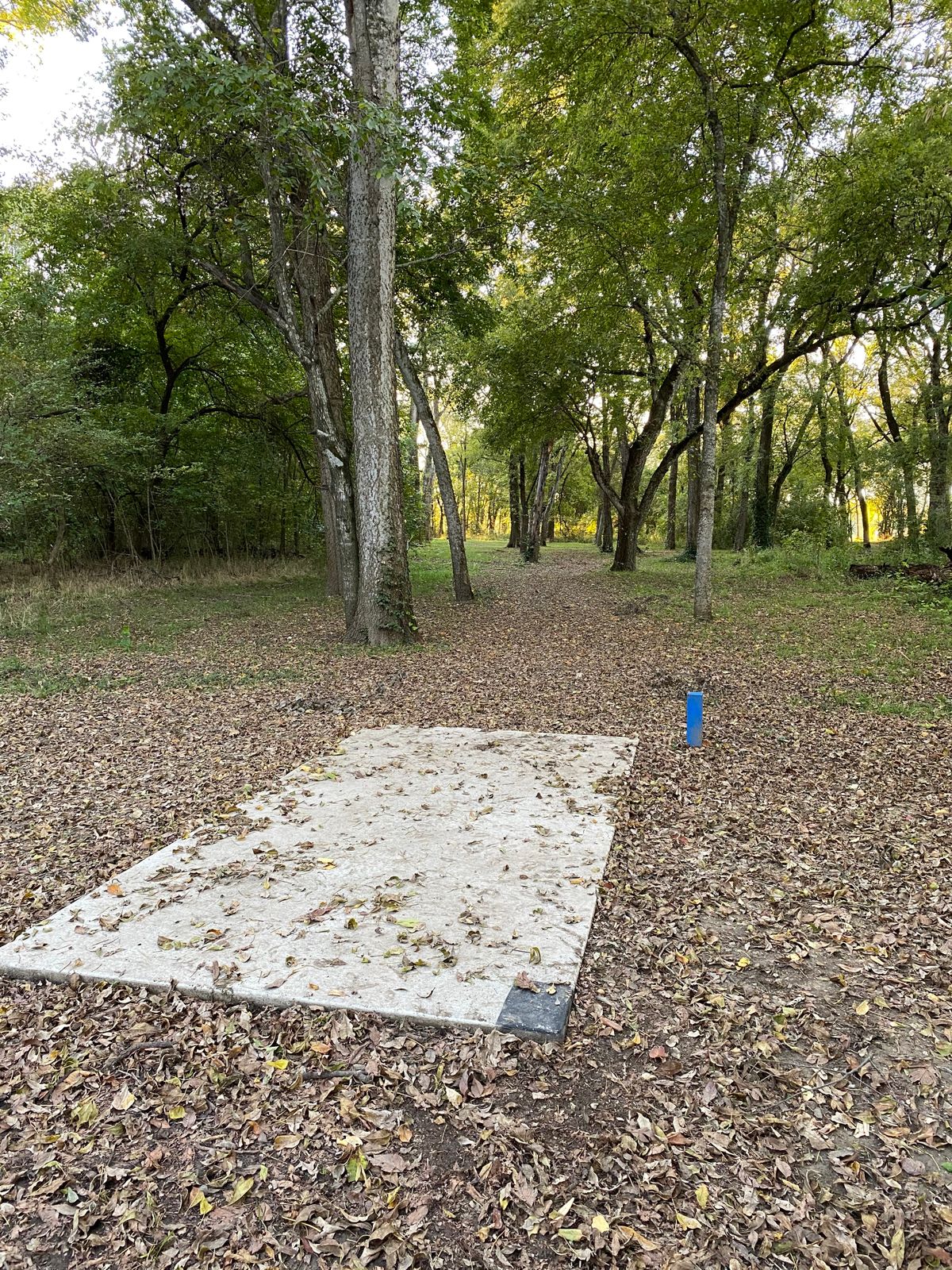 Hole 6