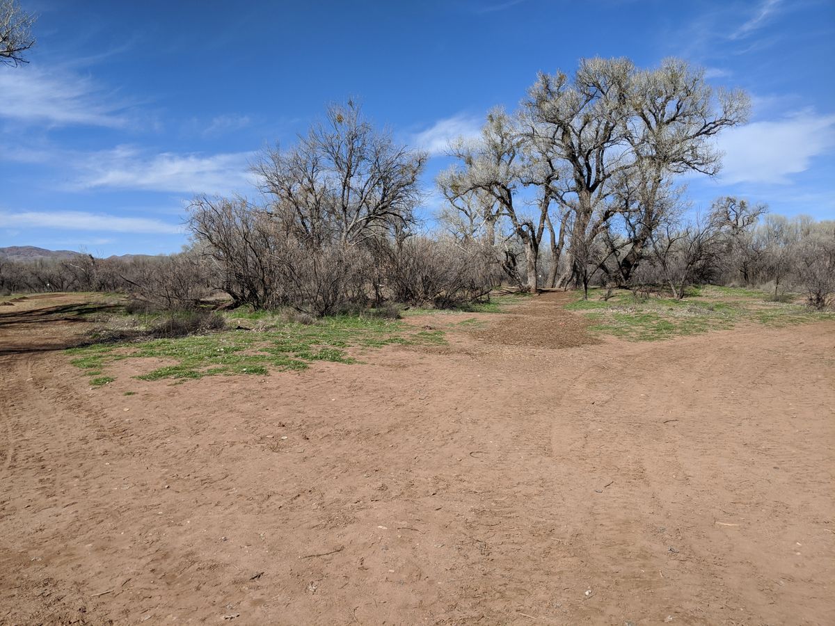 A few holes are more open, most pretty well trees.