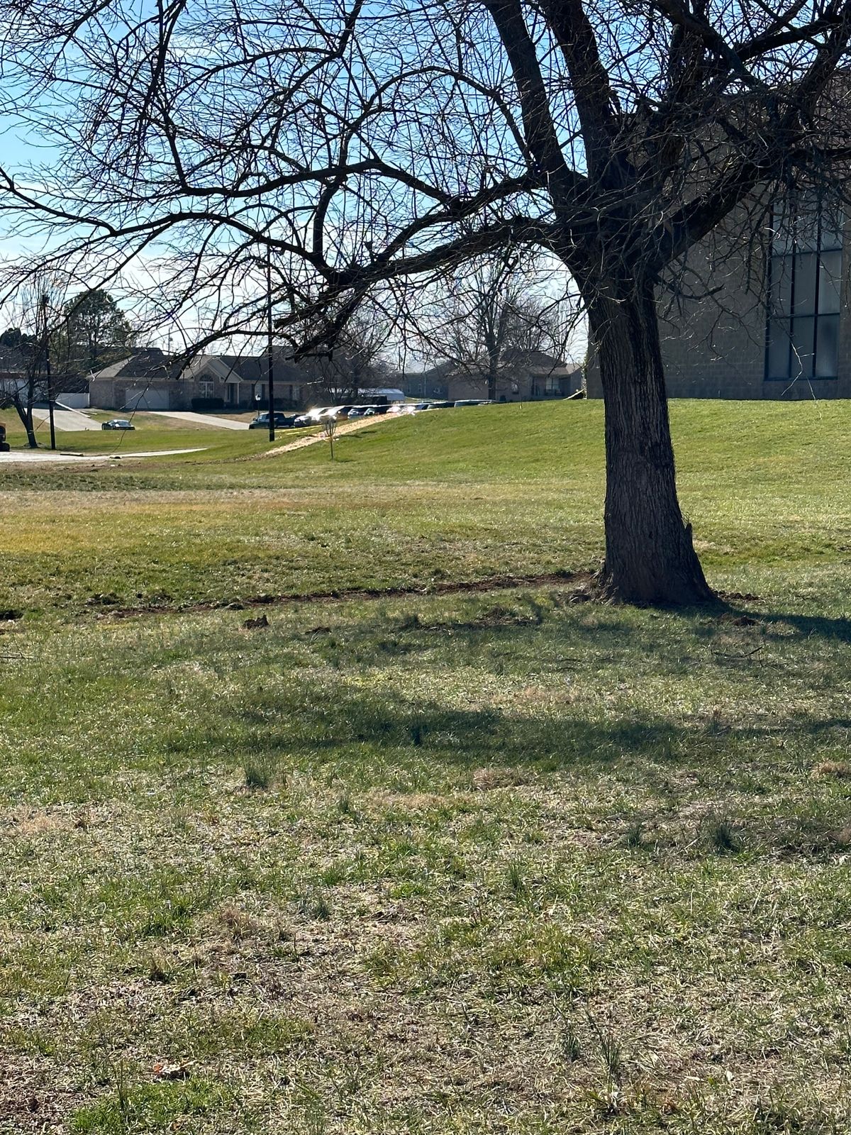 #3 fairway and basket