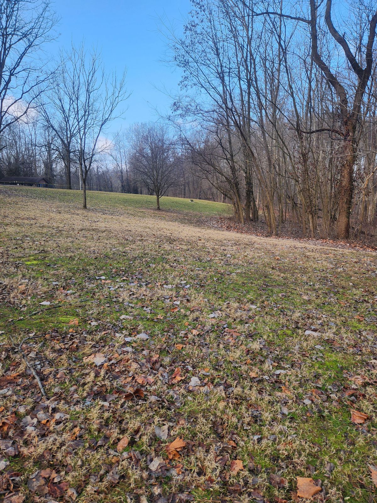 Hole 1- throw to middle tree, then right into woods.