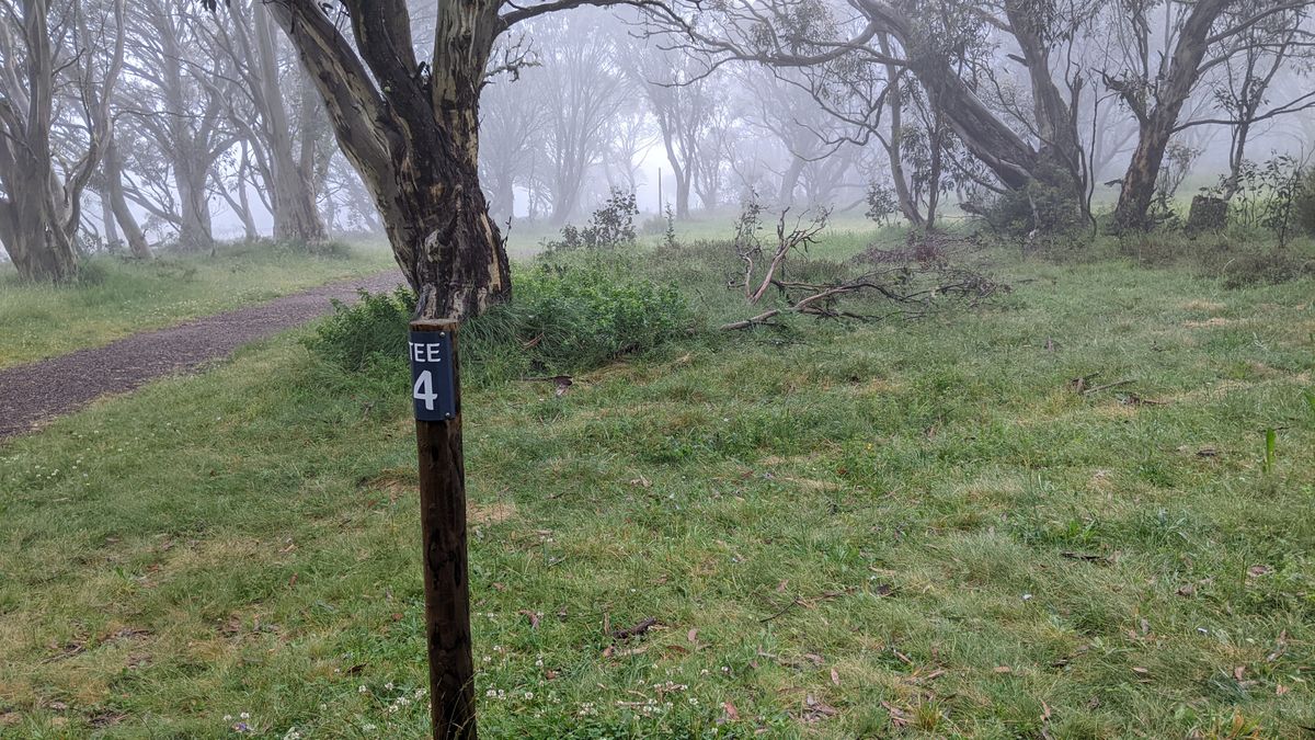 4th tee to the right of the trail