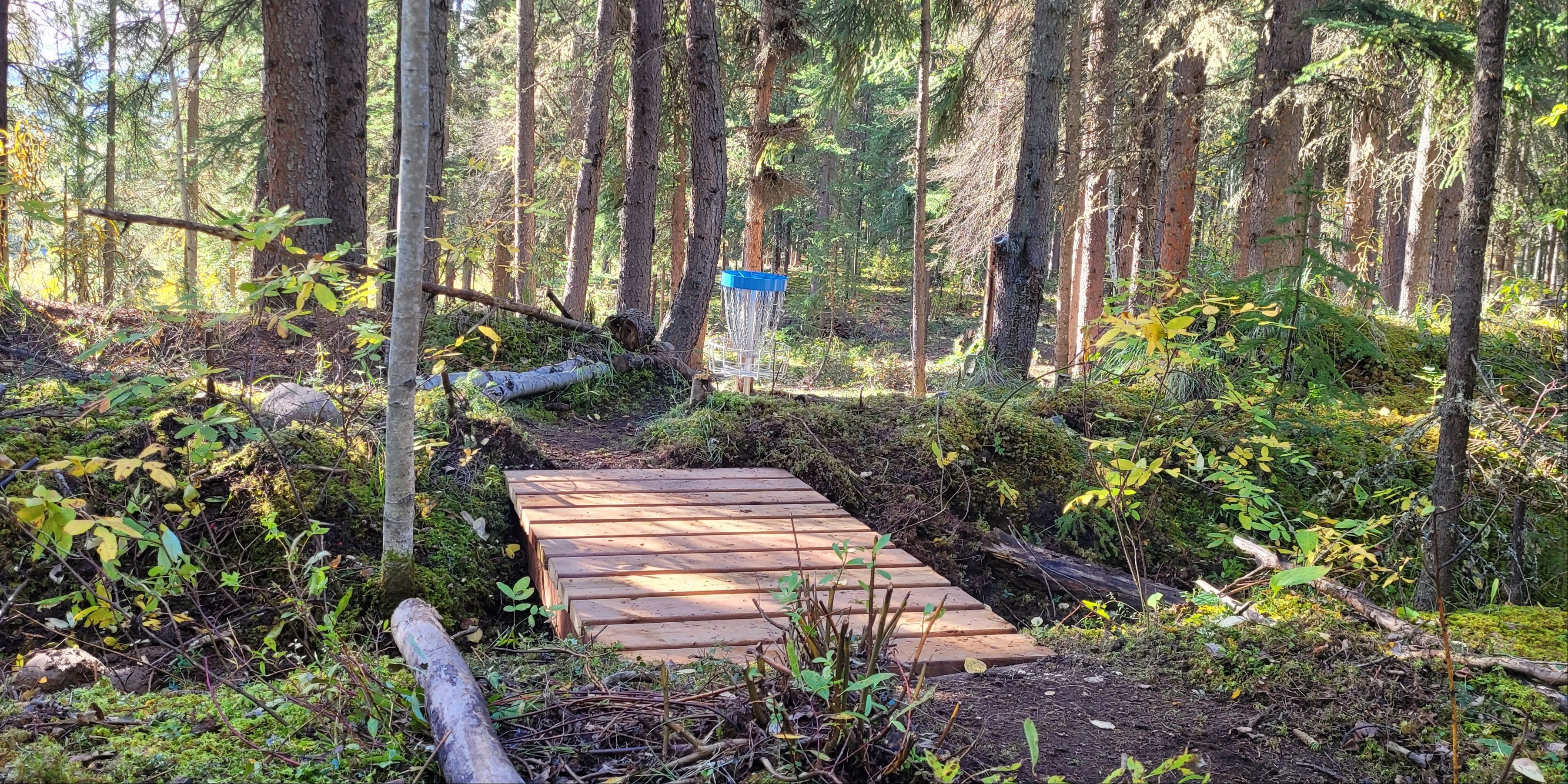 Dawson City Disc Golf League