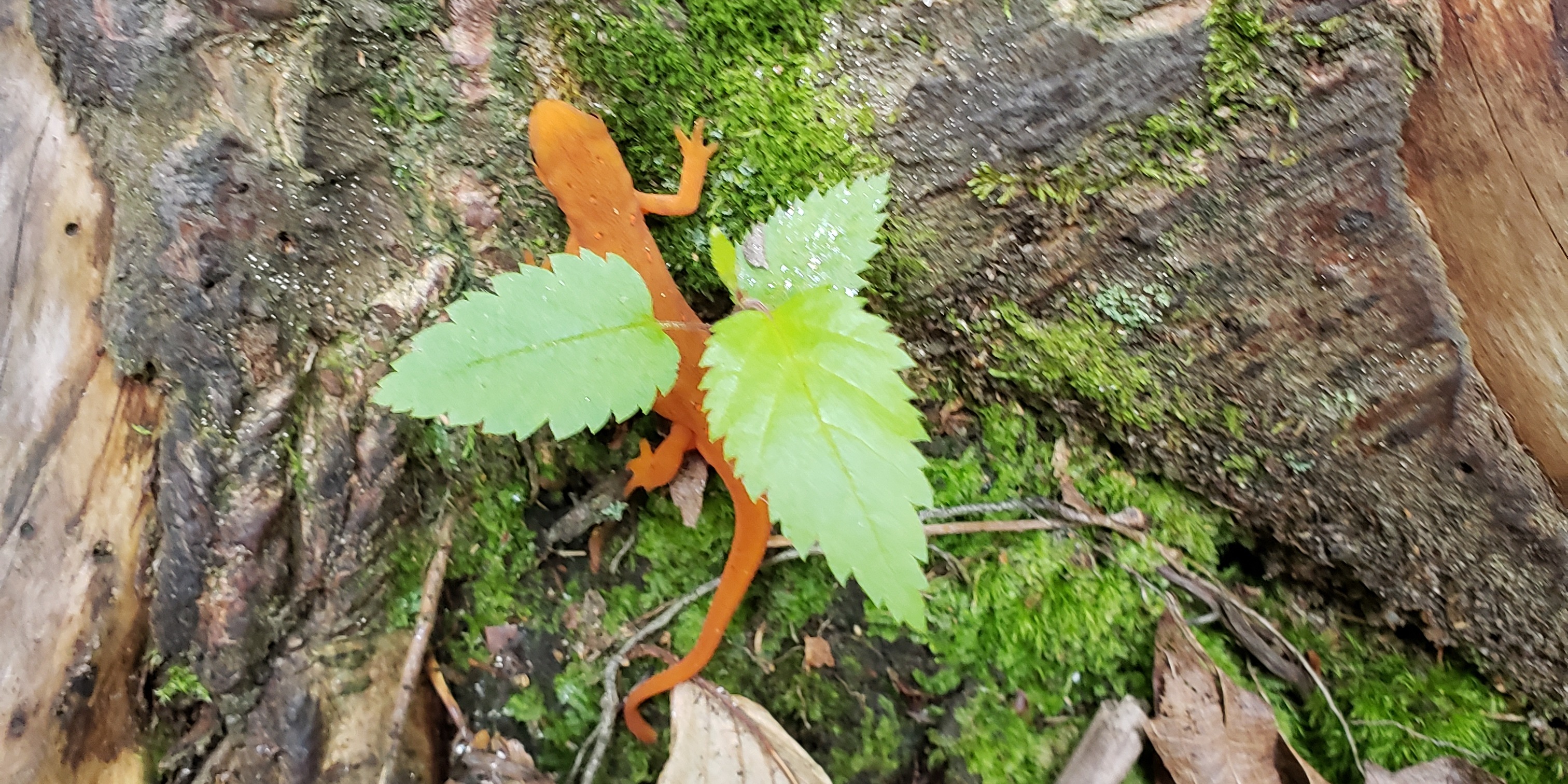 Floating Wednesday Senior League - Floating at Mile Marker 63