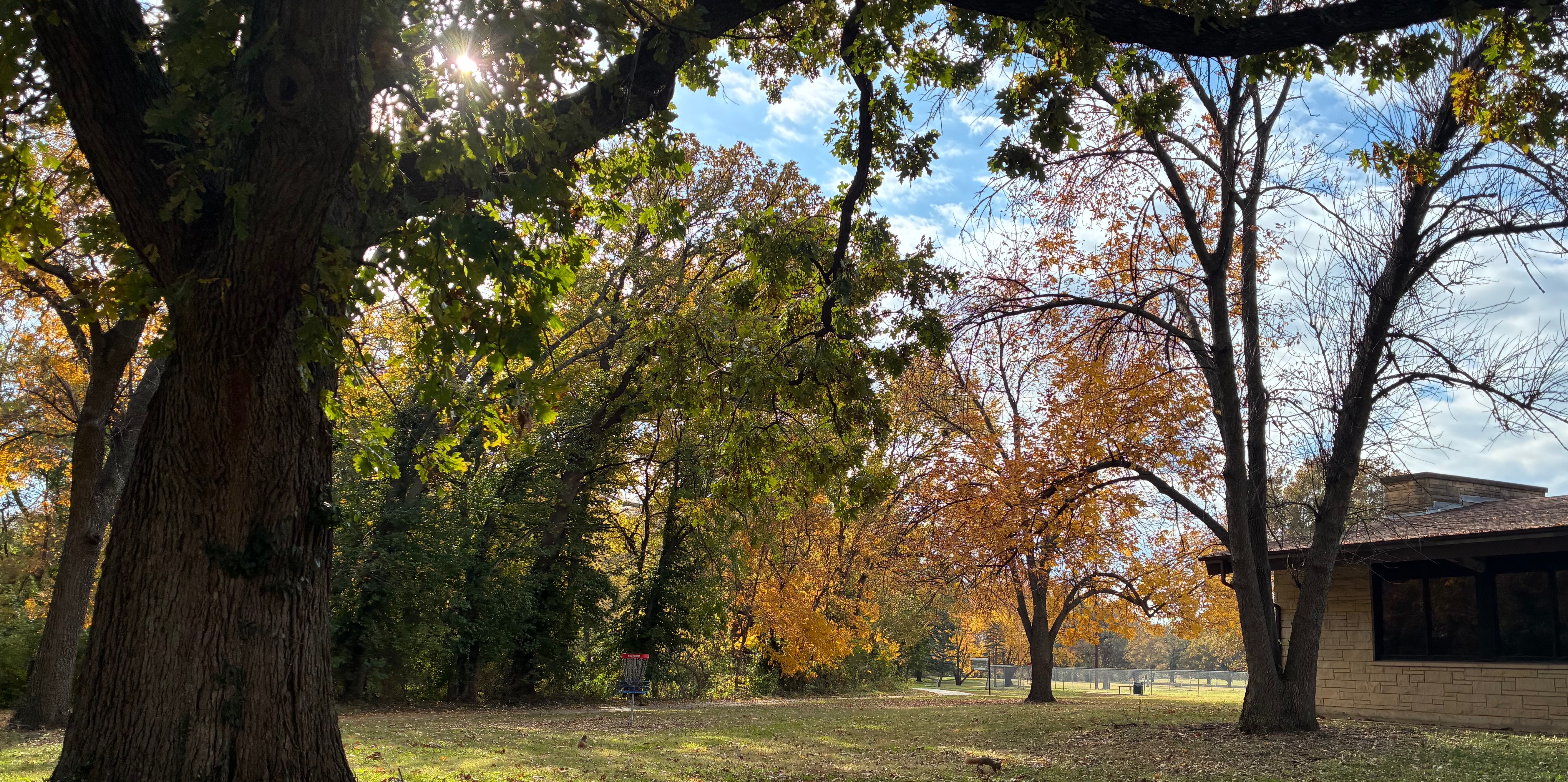 Lost and Found League Round - Lost and Found Round League