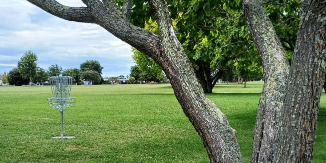 Anderson Park Social Tuesdays