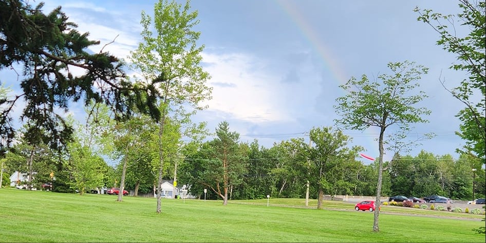 Women's Disc Golf Algoma - Ladies League Algoma